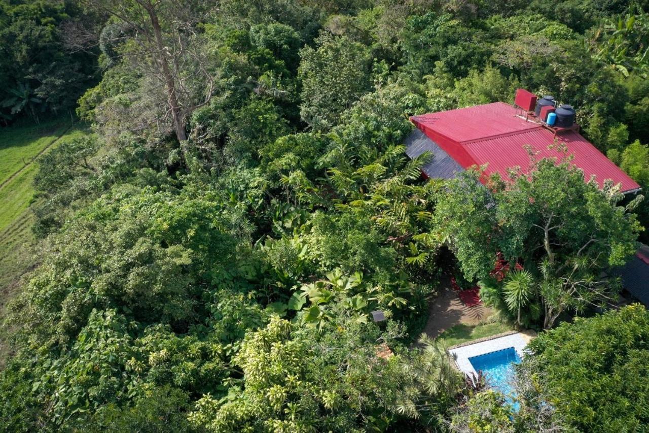 La Boruca Bed & Breakfast San Isidro  Exterior photo