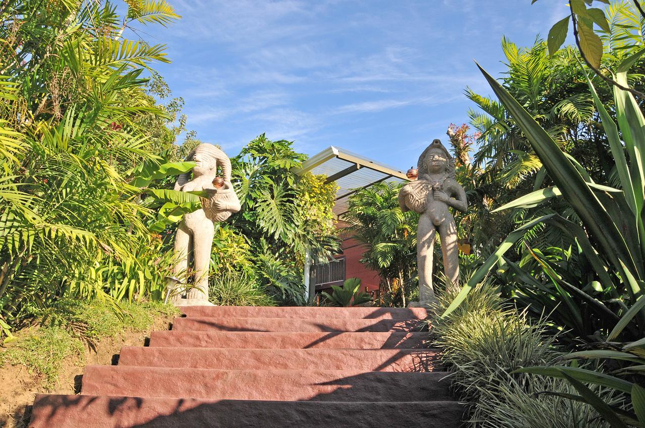 La Boruca Bed & Breakfast San Isidro  Exterior photo