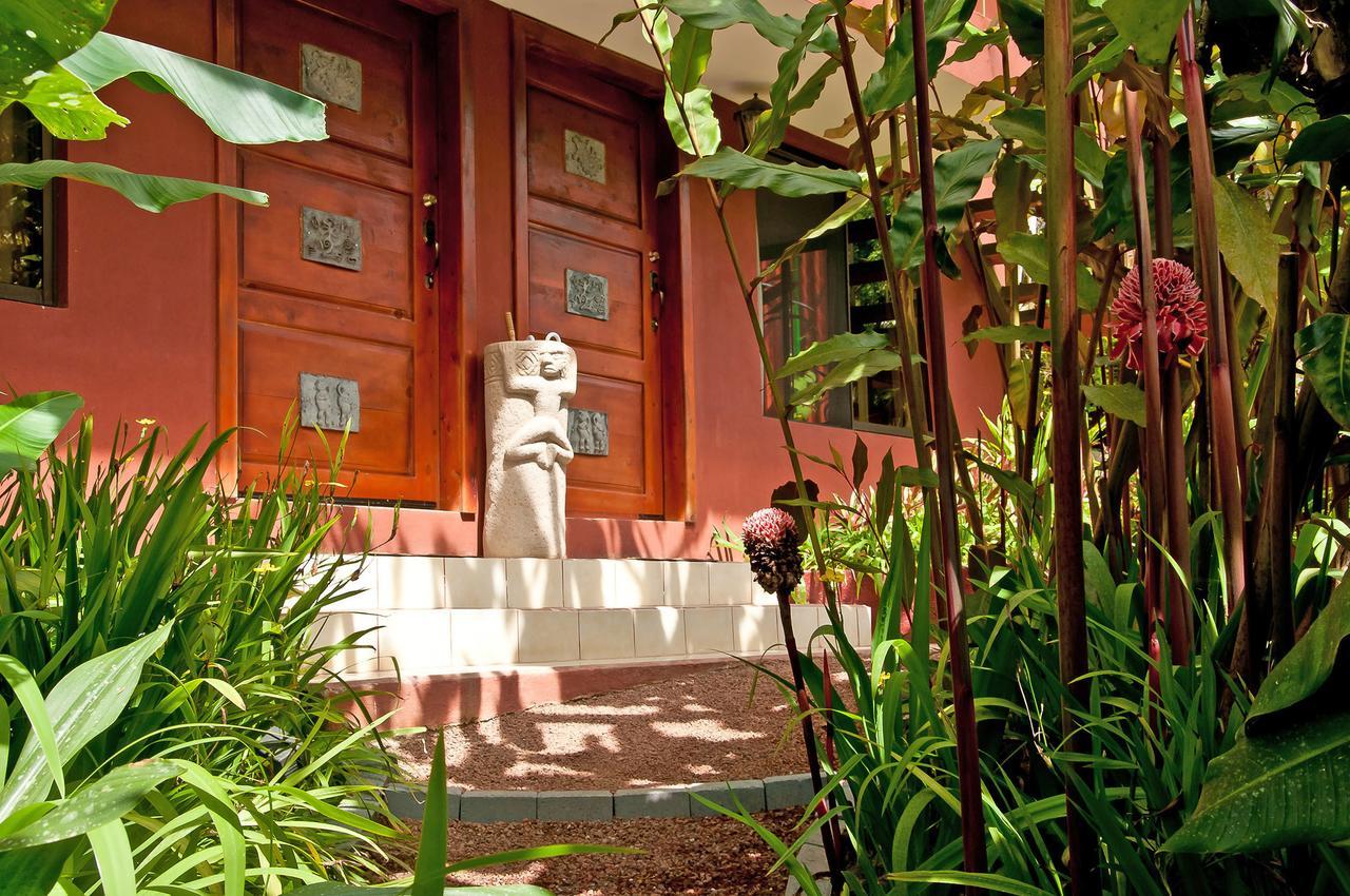 La Boruca Bed & Breakfast San Isidro  Exterior photo
