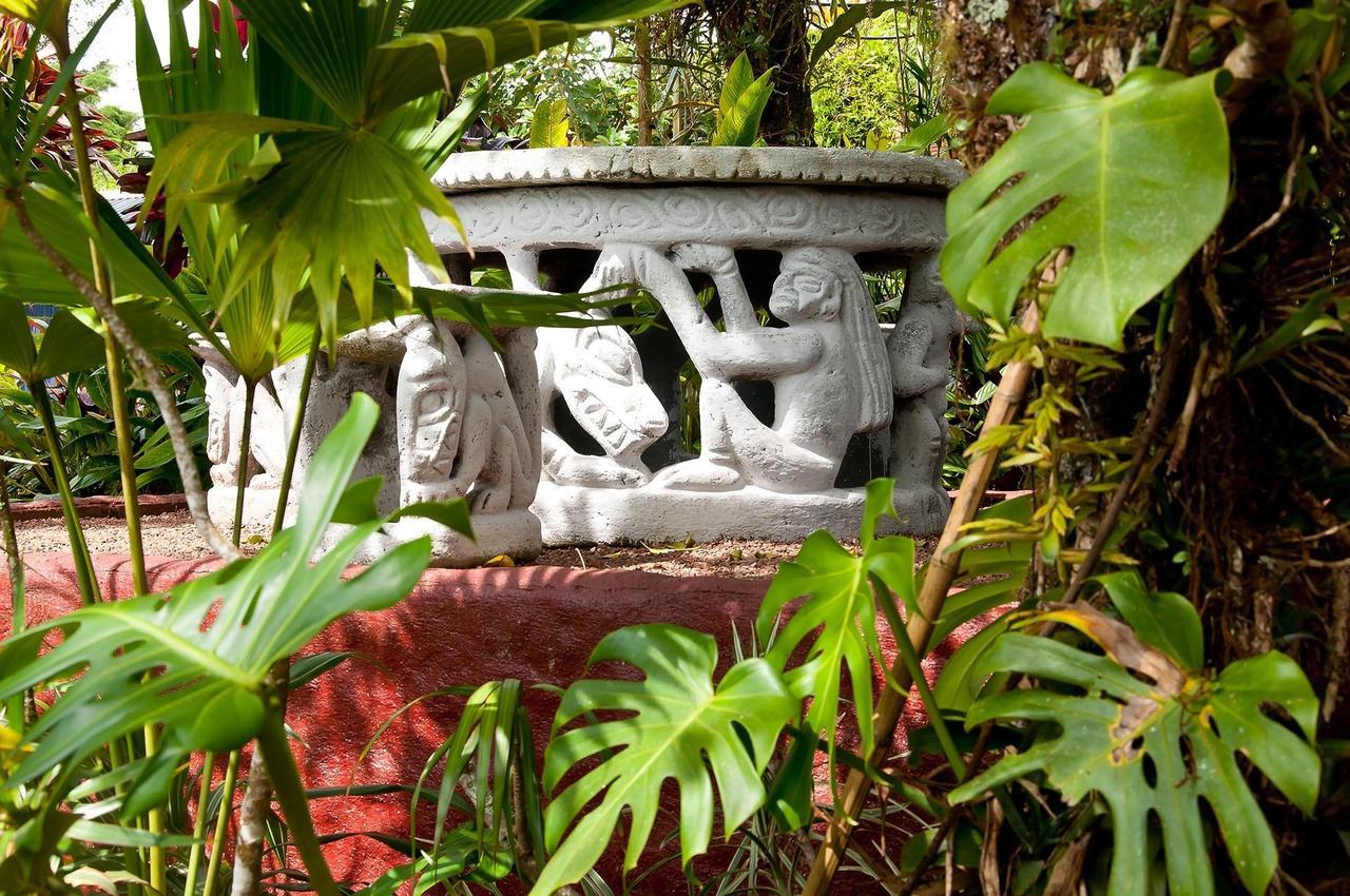 La Boruca Bed & Breakfast San Isidro  Exterior photo