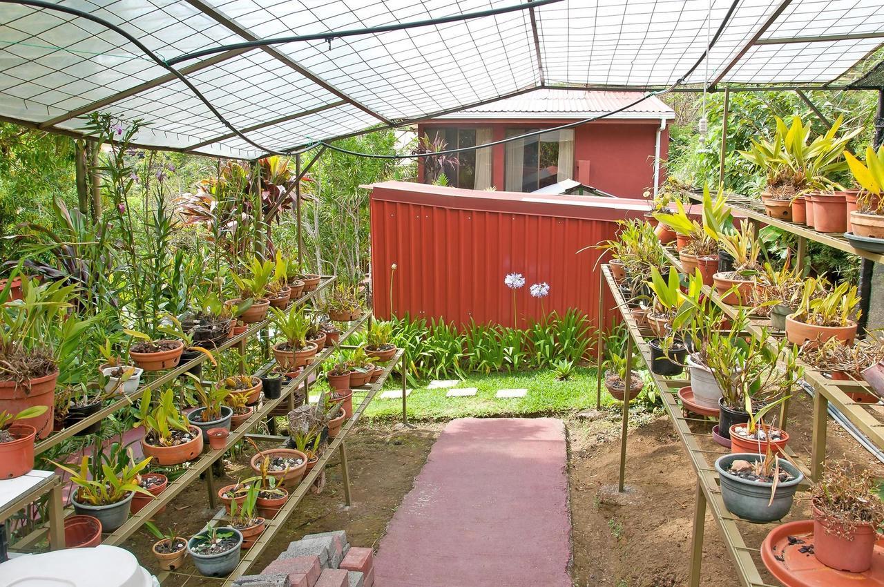 La Boruca Bed & Breakfast San Isidro  Exterior photo